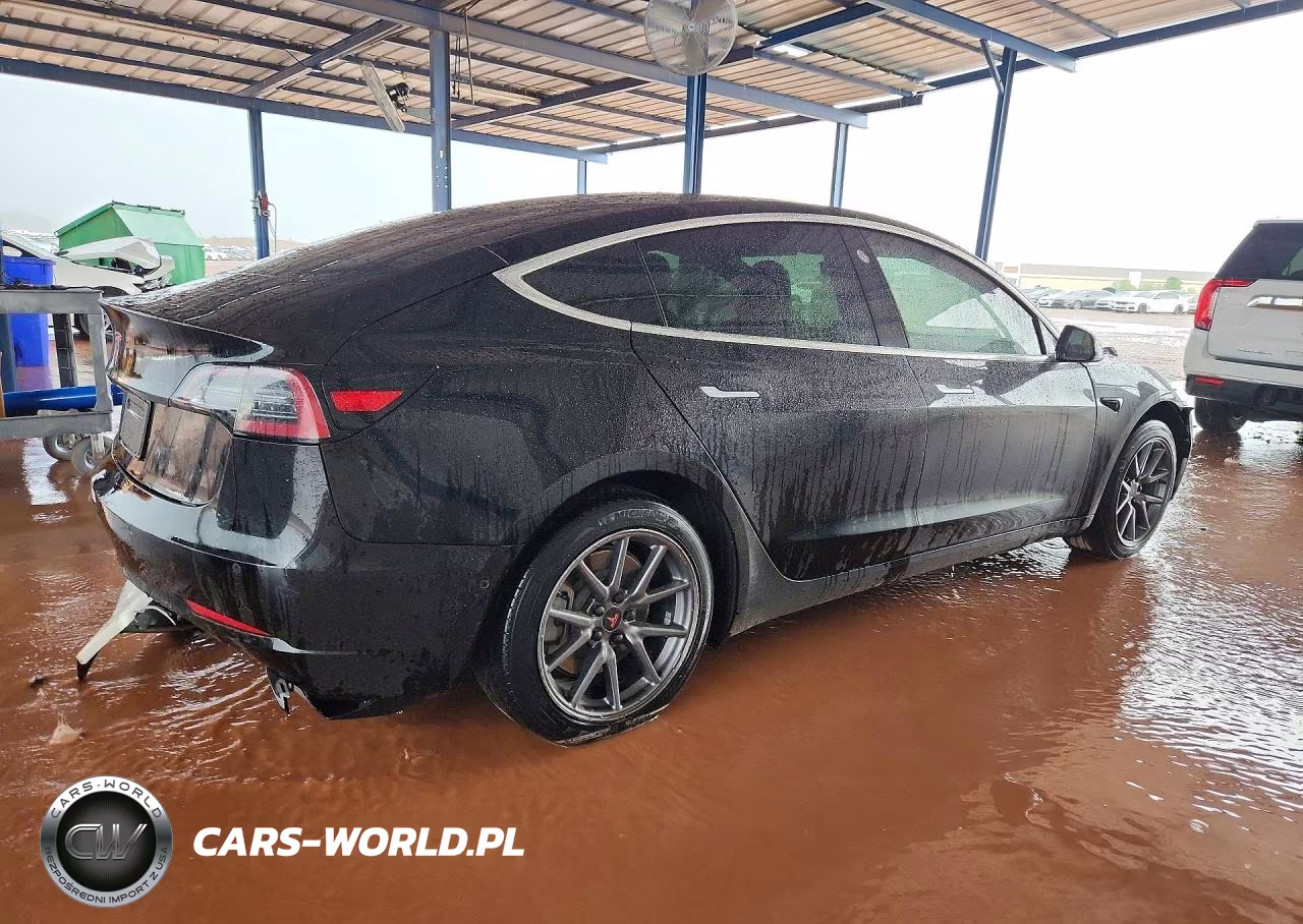 2020 Tesla Model 3 VIN:5YJ3E1EA3LF598208 - 3