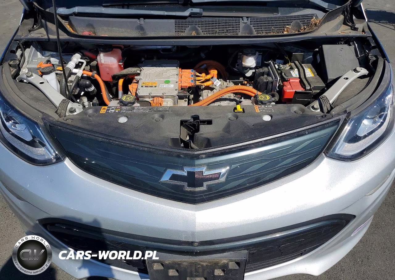 2019 Chevrolet Bolt Ev Premier VIN:1G1FZ6S01K4111130 - 11