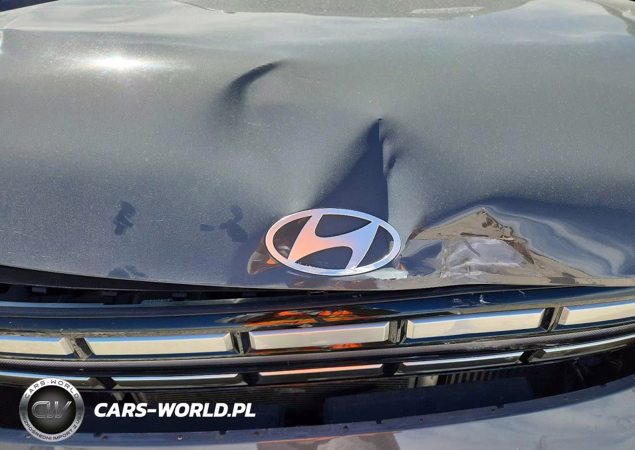 2024 Hyundai Santa Fe Sel VIN:5NMP2DGL4RH003612 - 11