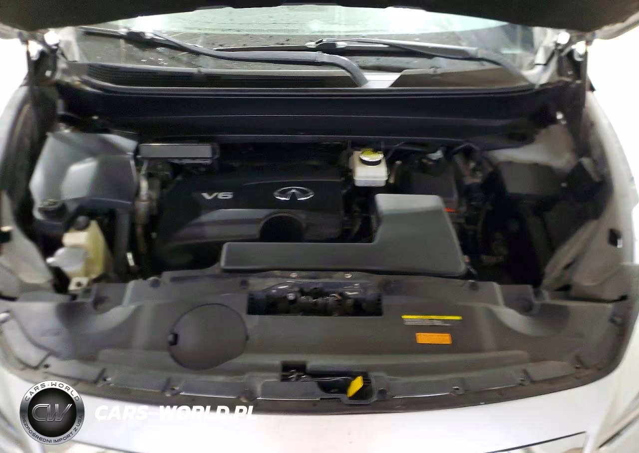 2019 Infiniti Qx60 Pure VIN:5N1DL0MM3KC565250 - 12