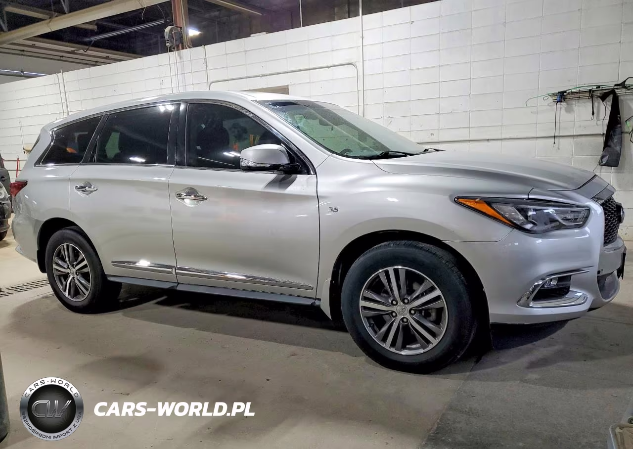 2019 Infiniti Qx60 Pure VIN:5N1DL0MM3KC565250 - 4