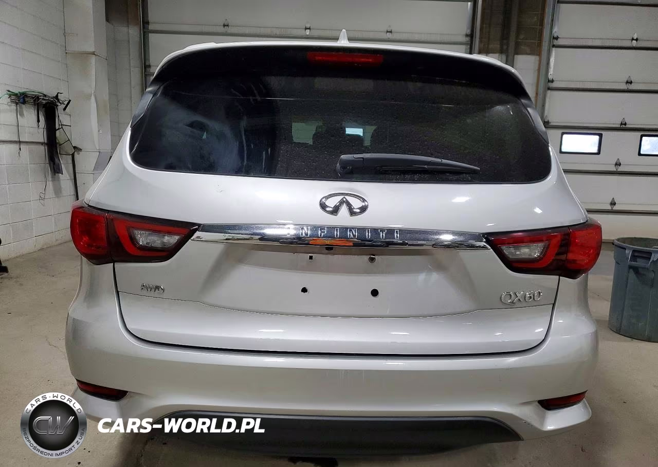 2019 Infiniti Qx60 Pure VIN:5N1DL0MM3KC565250 - 6