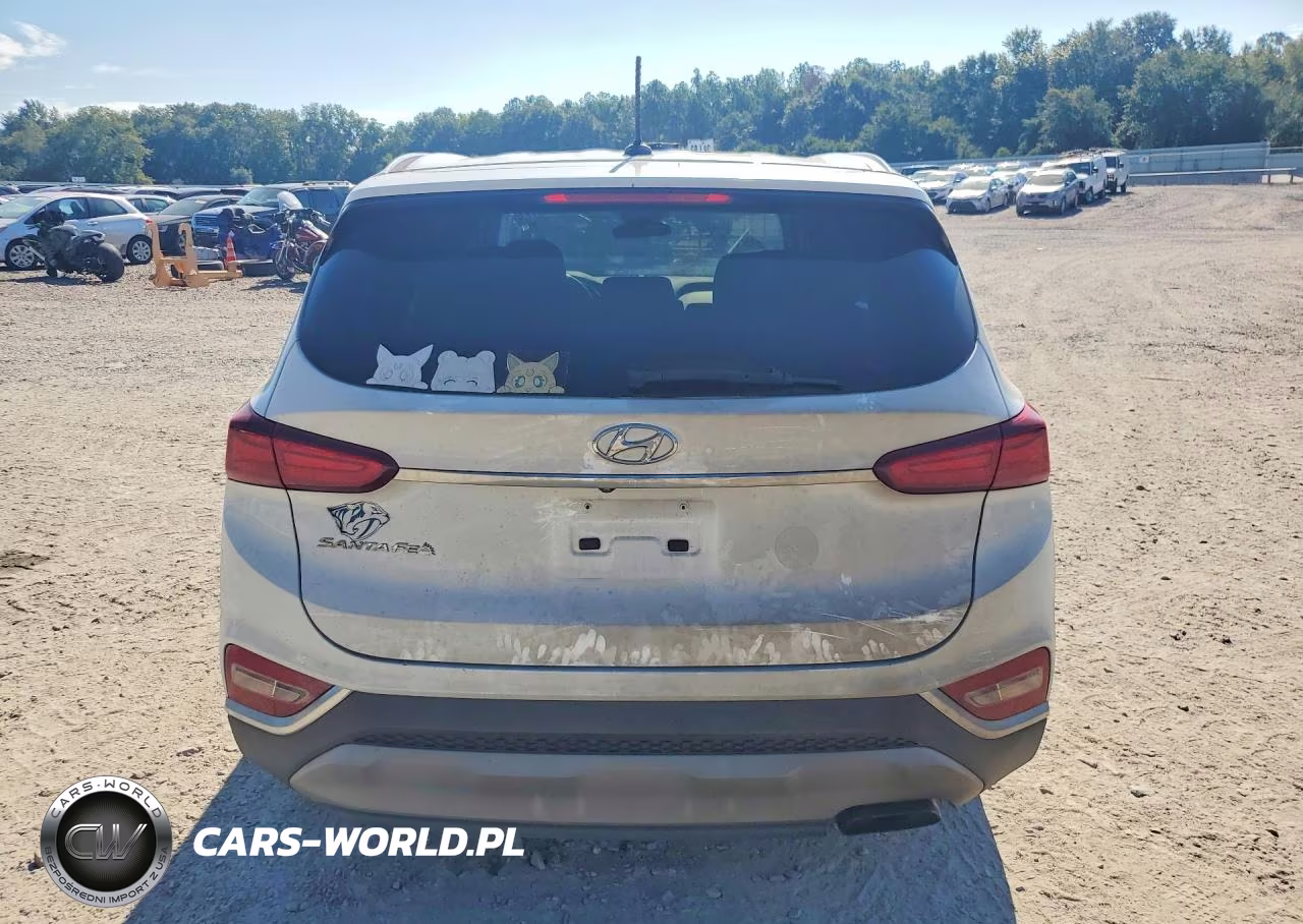 2019 Hyundai Santa Fe Se VIN:5NMS23AD1KH044369 - 6