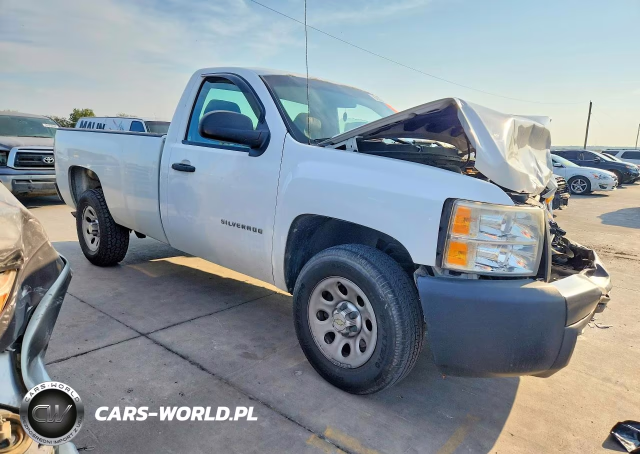 2012 Chevrolet Silverado C1500 VIN:1GCNCPEX2CZ141695 - 4