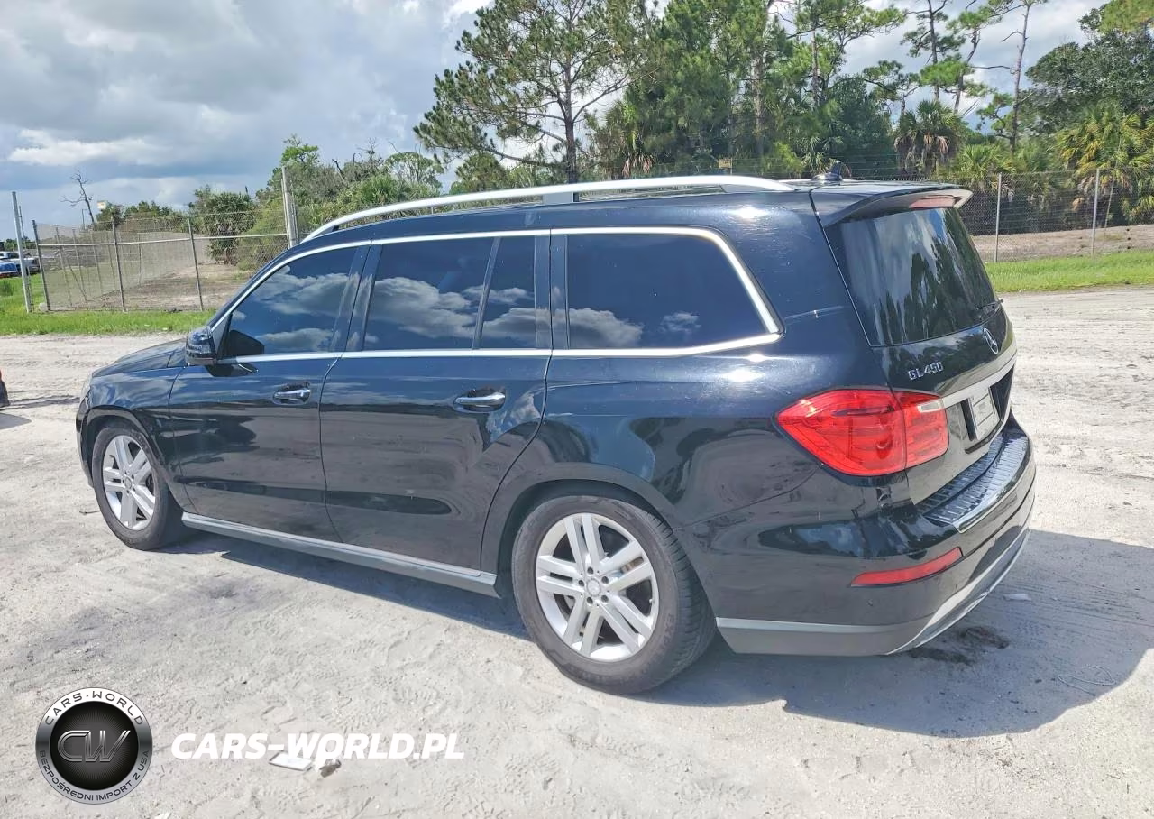 MERCEDES-BENZ GL 450 4MA VIN:4JGDF7CE3EA323360 - 2