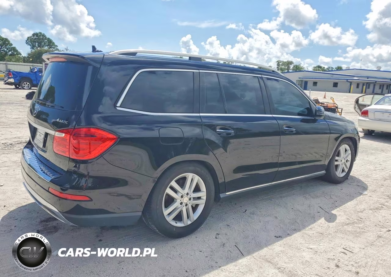 MERCEDES-BENZ GL 450 4MA VIN:4JGDF7CE3EA323360 - 3