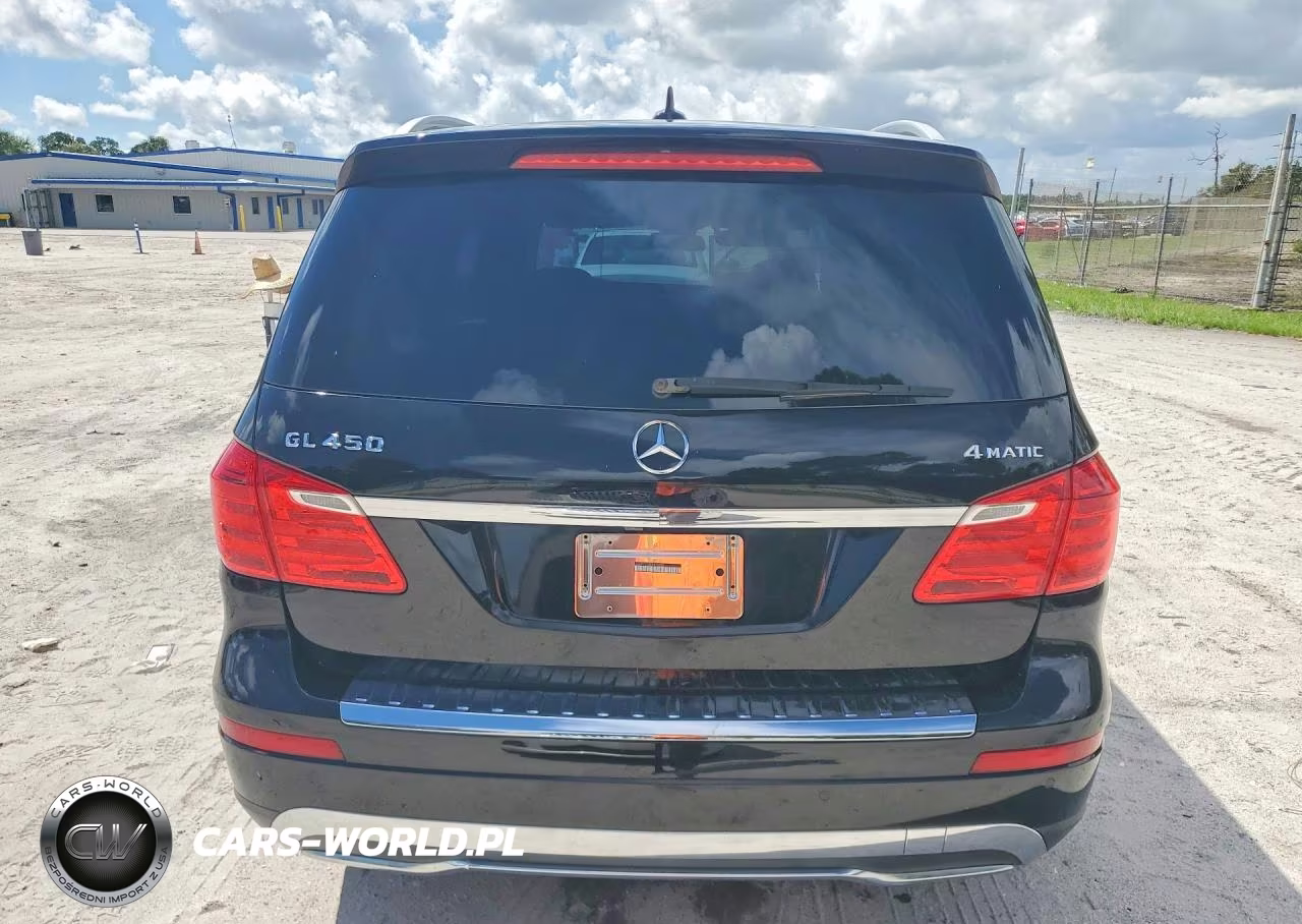 MERCEDES-BENZ GL 450 4MA VIN:4JGDF7CE3EA323360 - 6