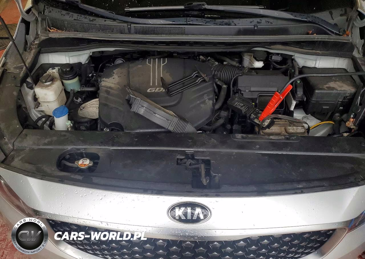 2017 Kia Sedona Lx VIN:KNDMB5C11H6301432 - 12