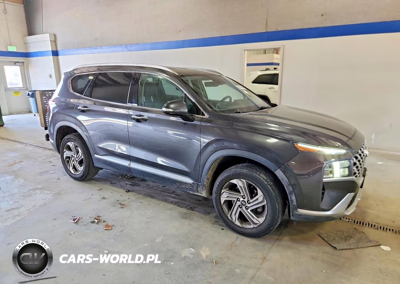 2021 Hyundai Santa Fe Sel VIN:5NMS6DAJ9MH342722 - 4