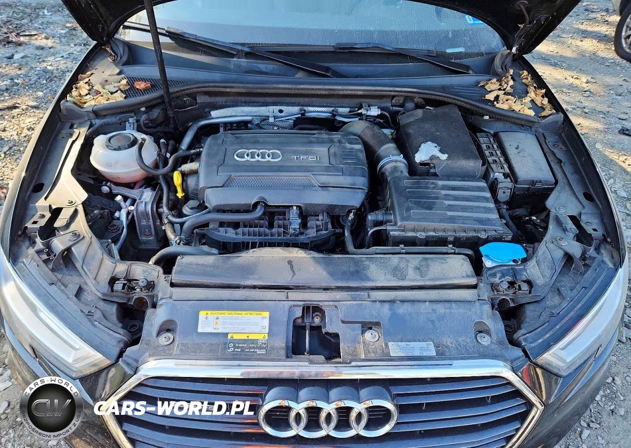 2018 Audi A3 Premium Plus VIN:WAUJ8GFF8J1038733 - 11