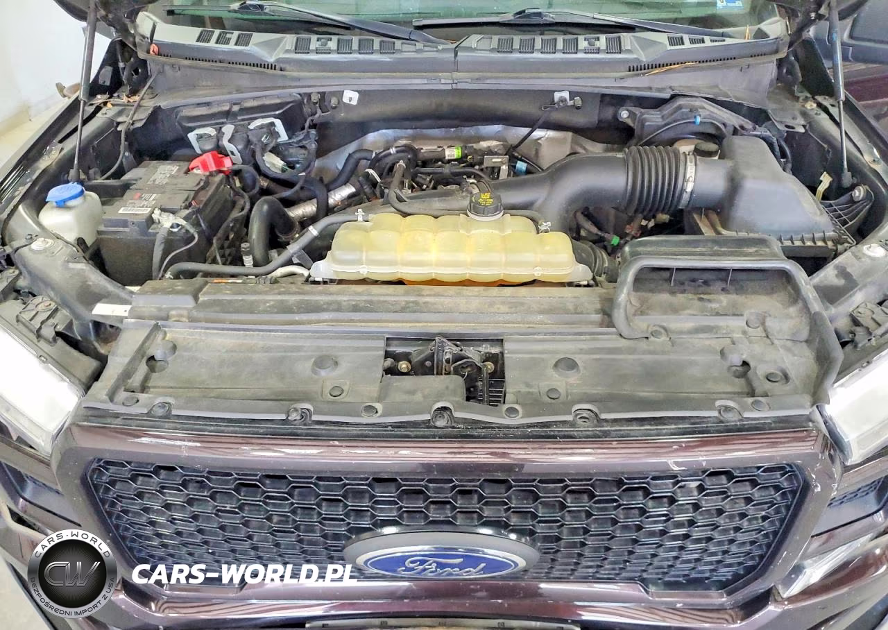 2020 Ford F150 Supercrew VIN:1FTEW1EP1LKE18088 - 11