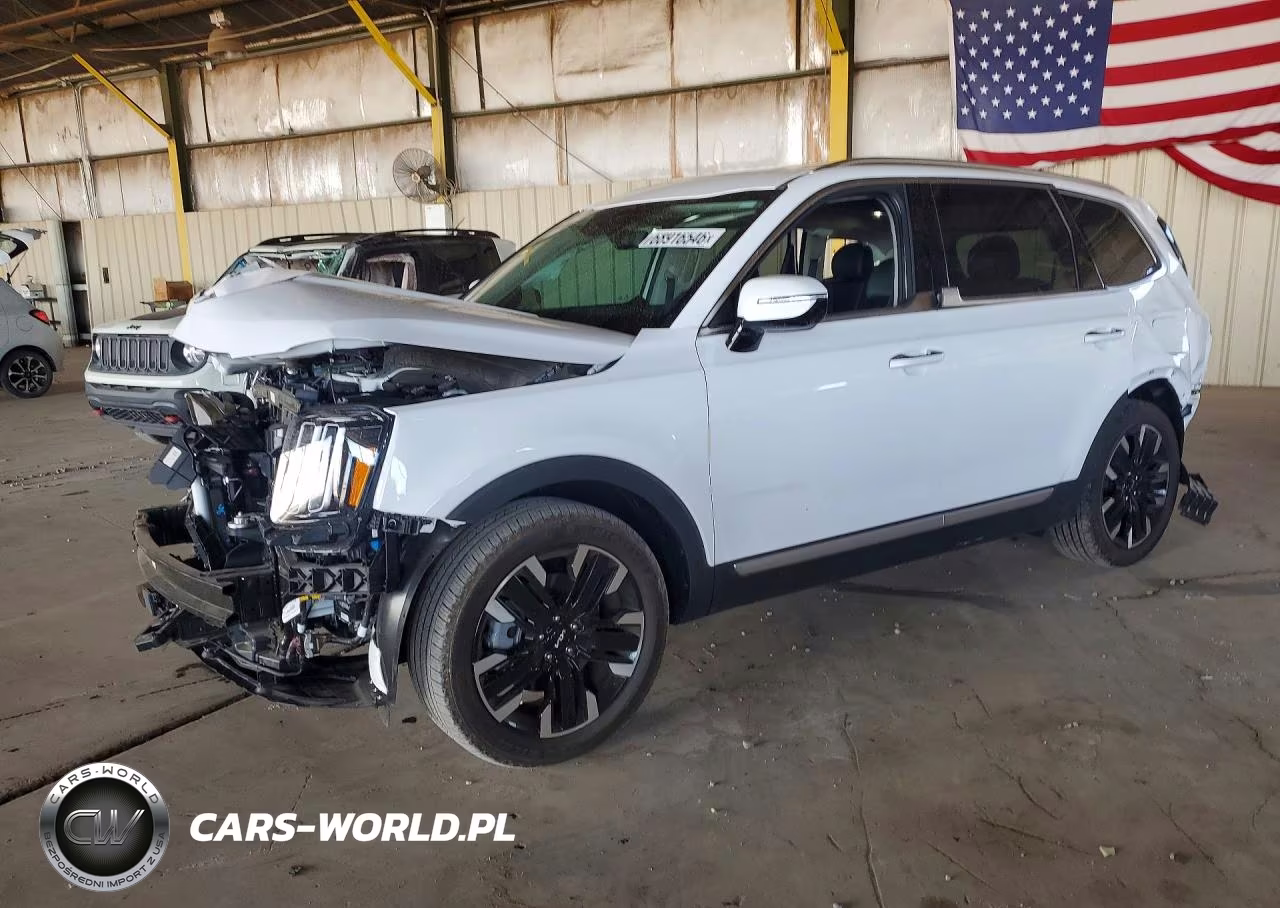 2024 Kia Telluride Sx-Prestige VIN:5XYP5DGC5RG489736 - 1