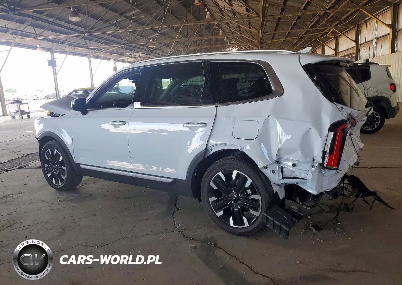 2024 Kia Telluride Sx-Prestige VIN:5XYP5DGC5RG489736 - 2