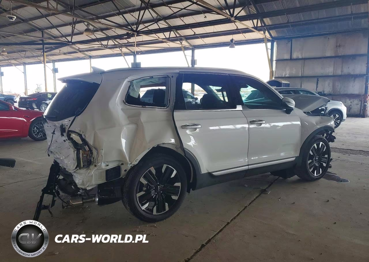 2024 Kia Telluride Sx-Prestige VIN:5XYP5DGC5RG489736 - 3