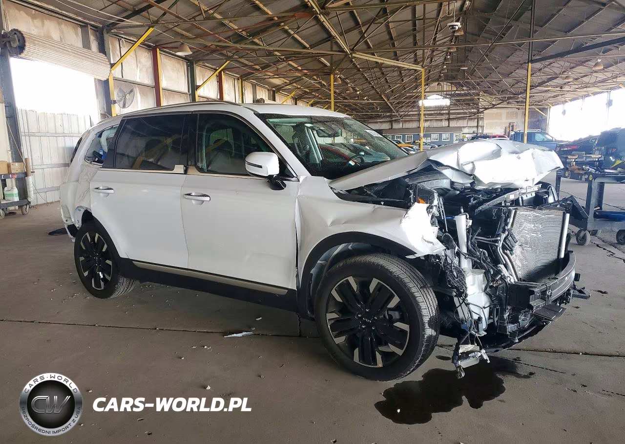 2024 Kia Telluride Sx-Prestige VIN:5XYP5DGC5RG489736 - 4