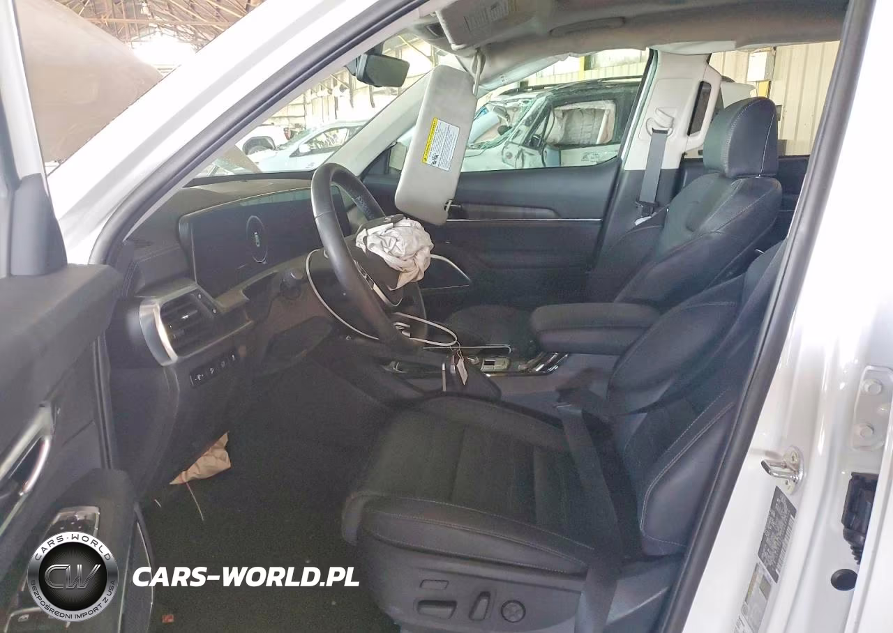 2024 Kia Telluride Sx-Prestige VIN:5XYP5DGC5RG489736 - 7