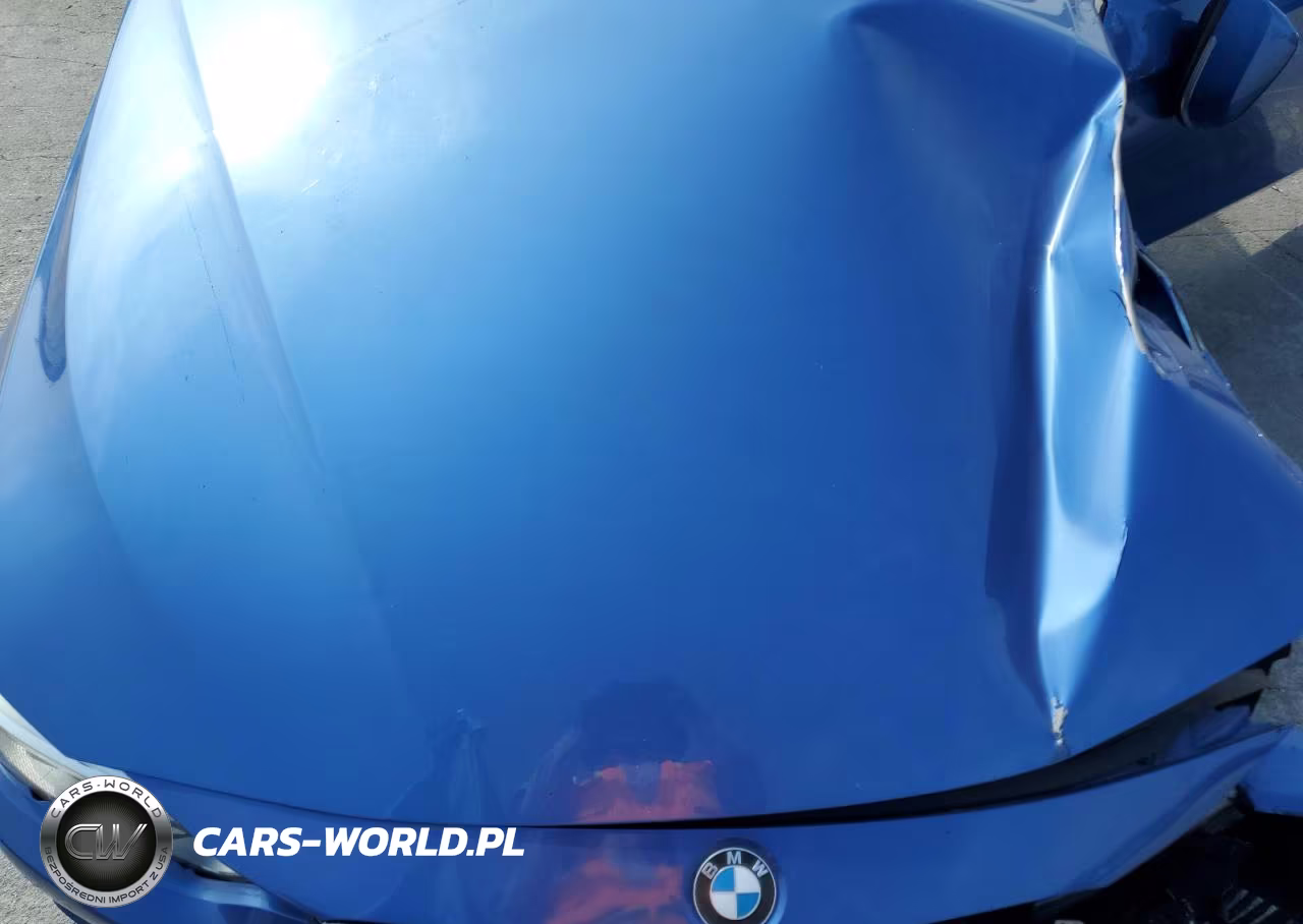 2014 BMW 428 I VIN:WBA3N7C56EF719124 - 11