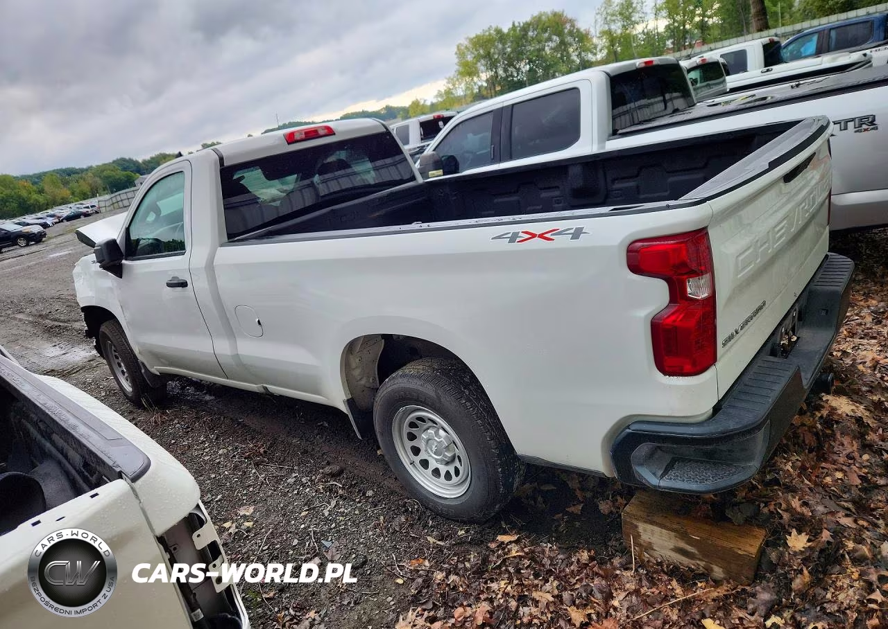 2025 Chevrolet Silverado K1500 VIN:3GCNKAEDXSG378472 - 2