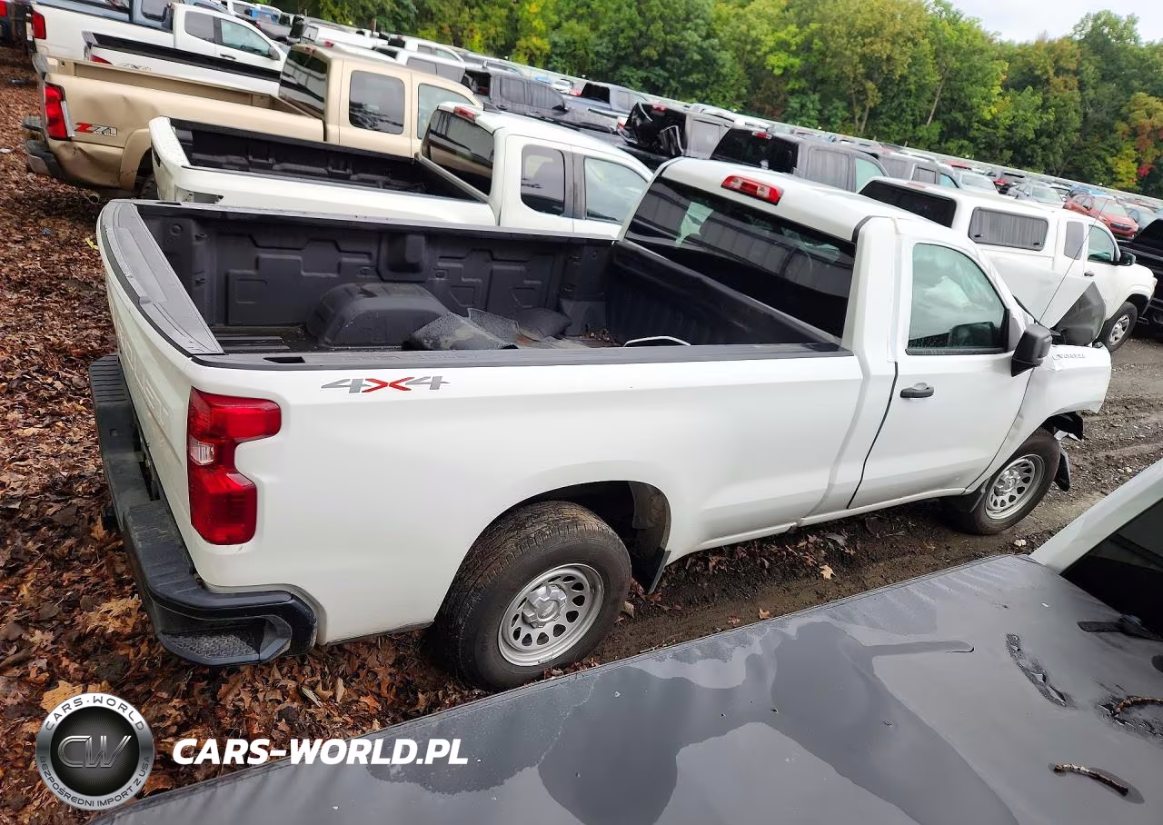 2025 Chevrolet Silverado K1500 VIN:3GCNKAEDXSG378472 - 3