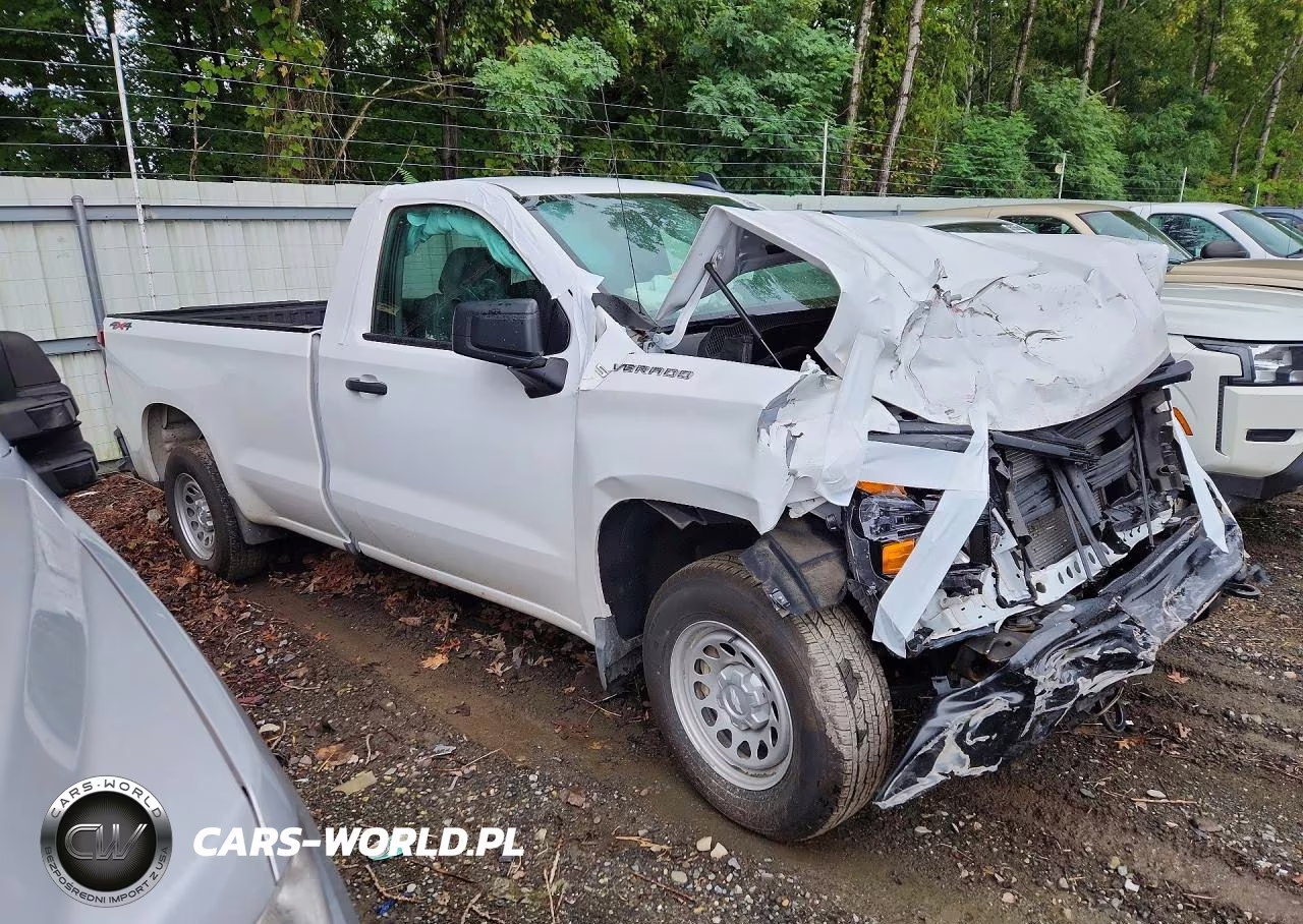 2025 Chevrolet Silverado K1500 VIN:3GCNKAEDXSG378472 - 4