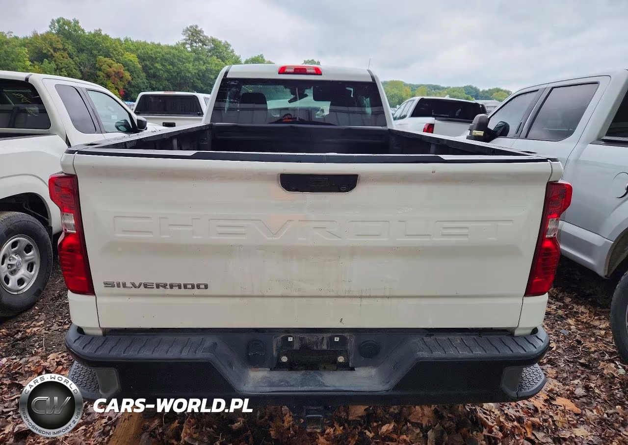2025 Chevrolet Silverado K1500 VIN:3GCNKAEDXSG378472 - 6