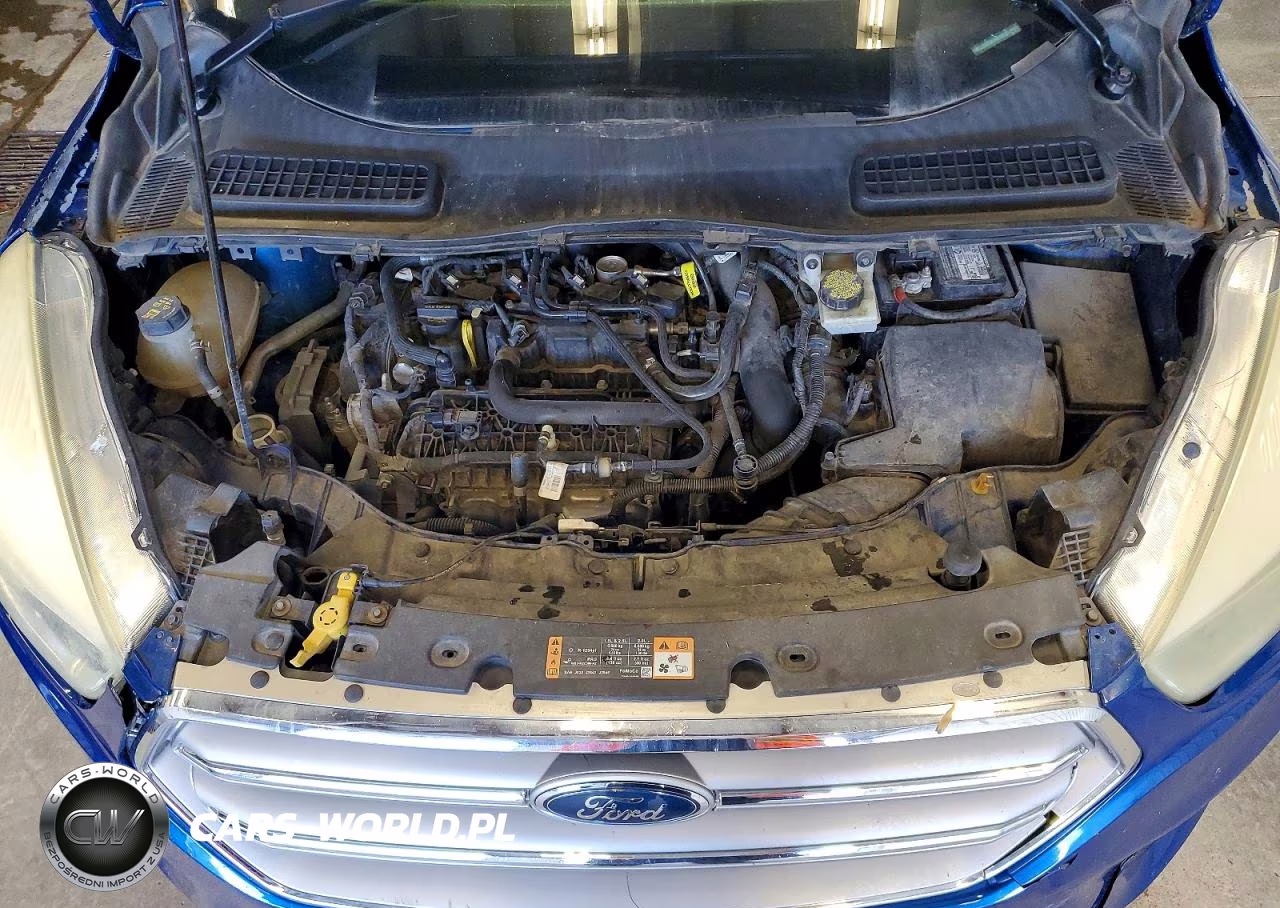 2017 Ford Escape Se VIN:1FMCU9GDXHUE04227 - 12