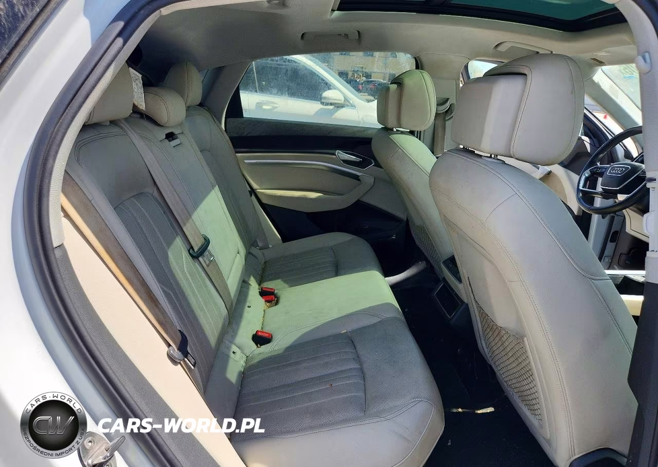 2021 Audi E-Tron Sportback Premium Plus VIN:WA12AAGE0MB000548 - 10