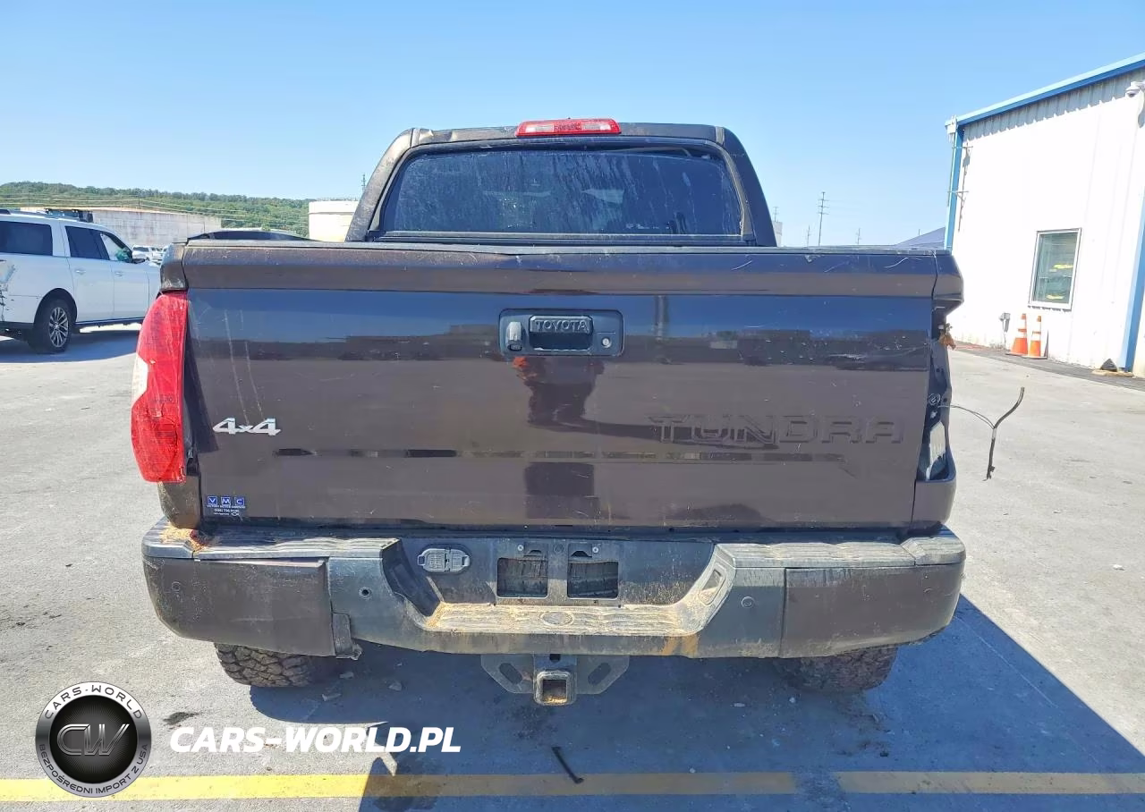 2020 Toyota Tundra 1794 Edition VIN:5TFAY5F19LX873008 - 6