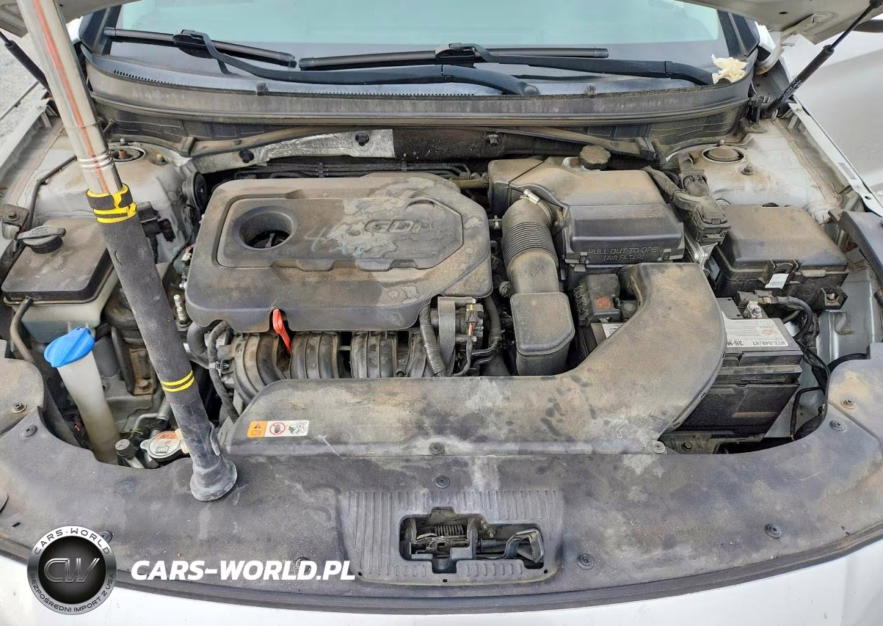 2016 Hyundai Sonata Se VIN:5NPE24AF3GH276115 - 11