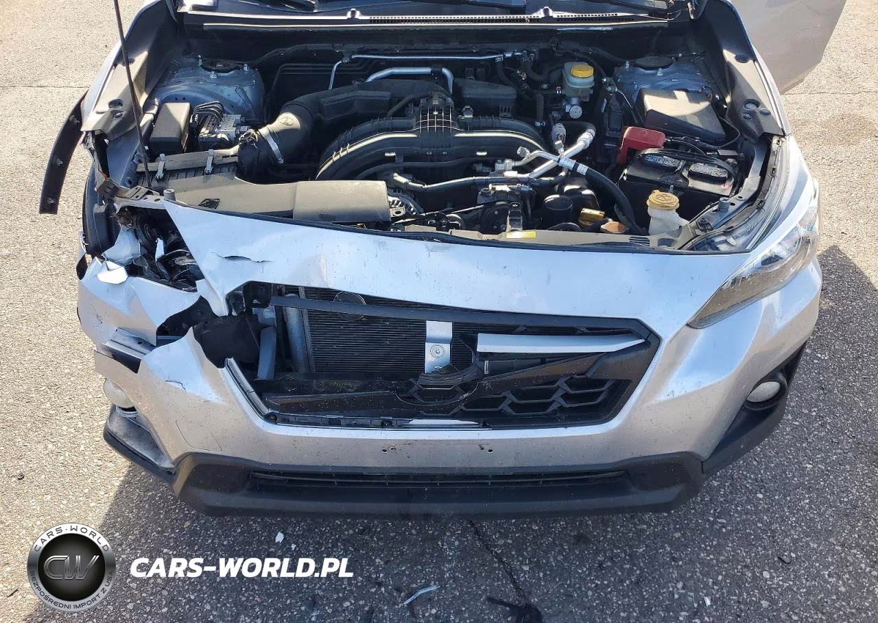 2019 Subaru Crosstrek Premium VIN:JF2GTACC8K9286911 - 12