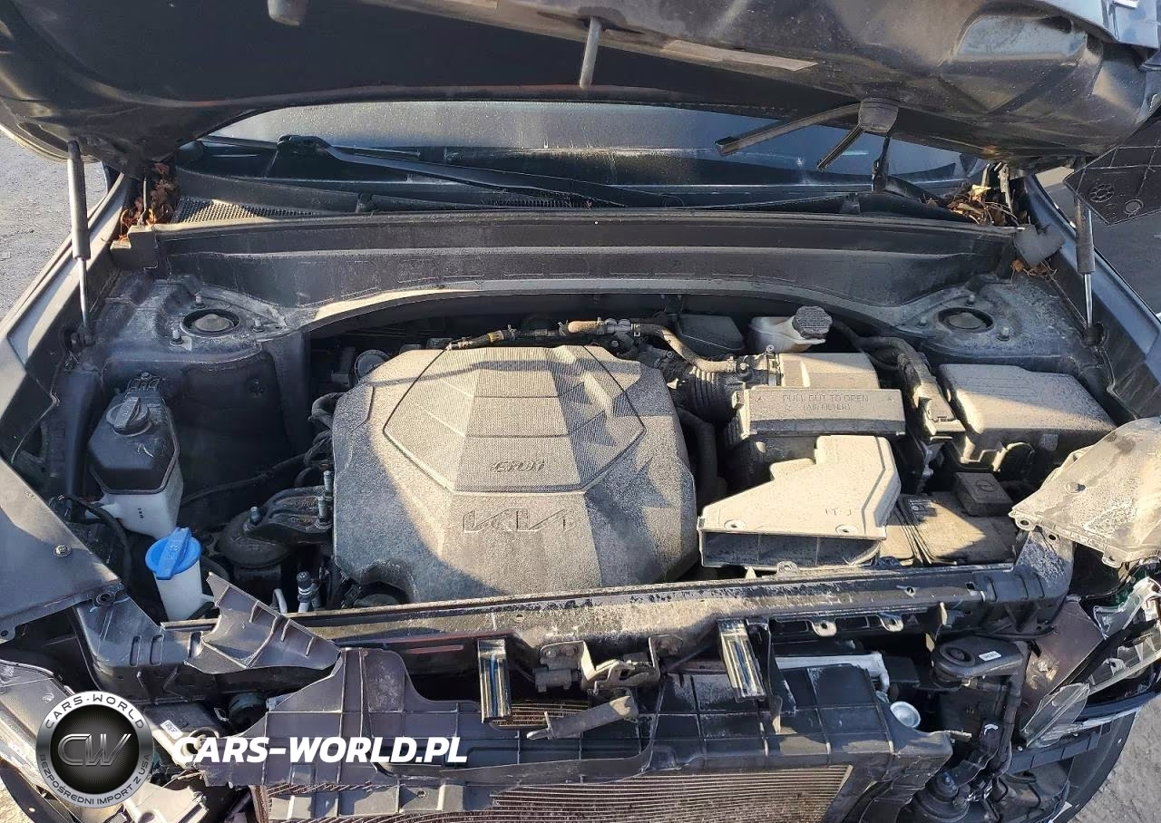 2022 Kia Telluride S VIN:5XYP6DHC6NG200191 - 12