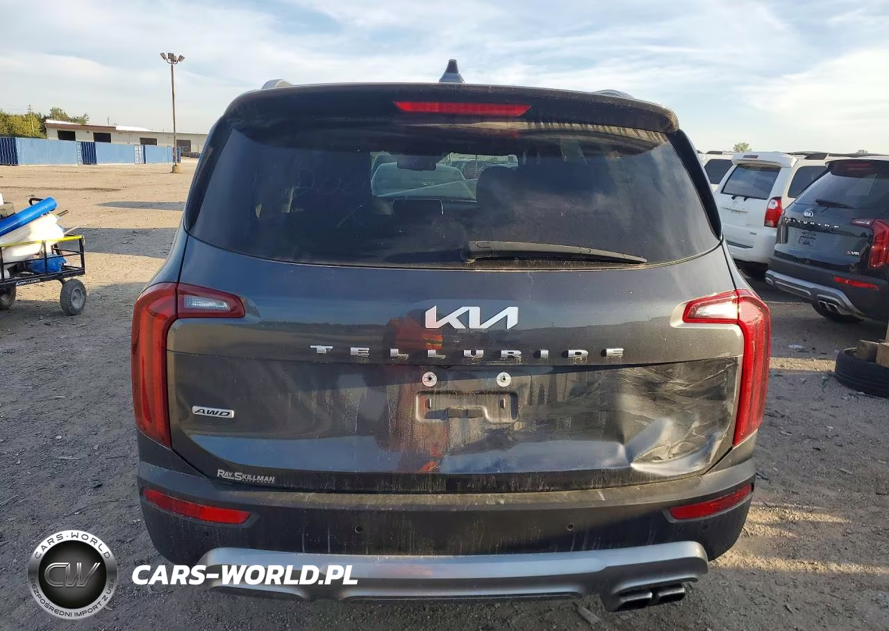 2022 Kia Telluride S VIN:5XYP6DHC6NG200191 - 6