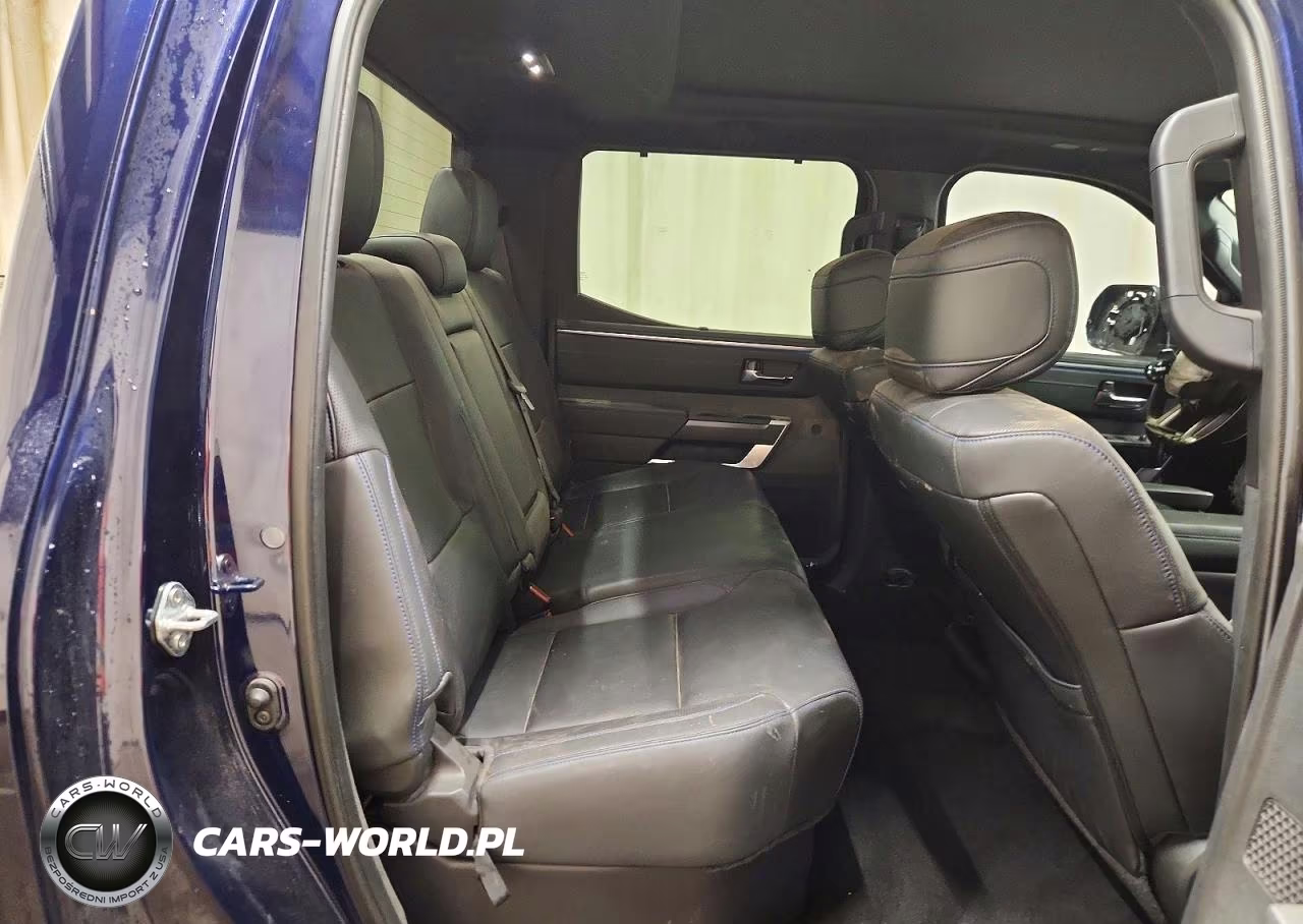 2023 Toyota Tundra Crewmax Platinum VIN:5TFNA5AB9PX021527 - 10