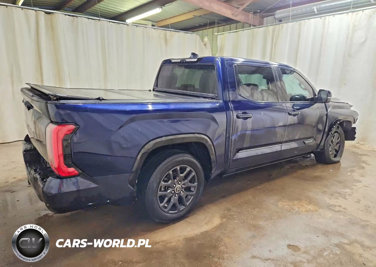 2023 Toyota Tundra Crewmax Platinum VIN:5TFNA5AB9PX021527 - 3