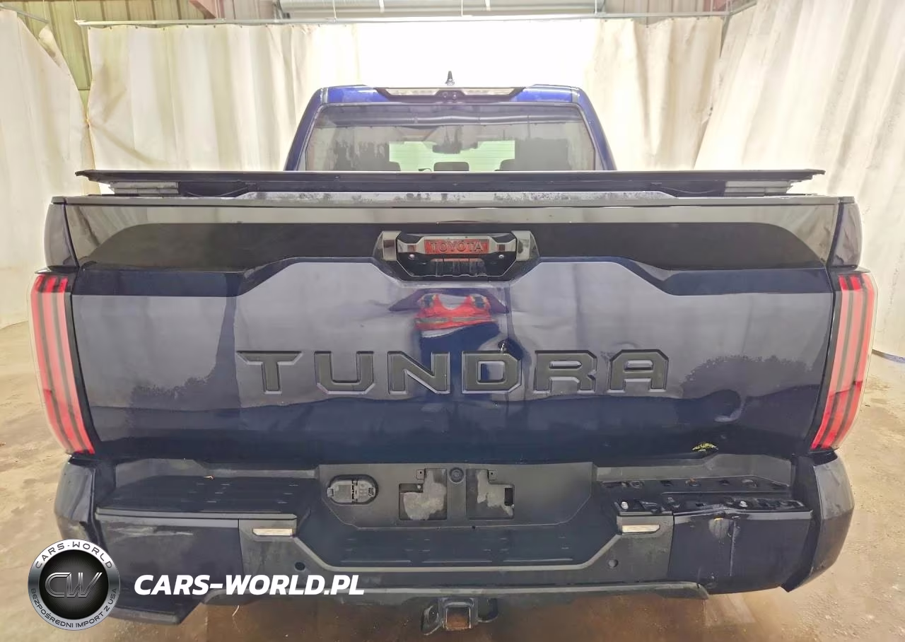 2023 Toyota Tundra Crewmax Platinum VIN:5TFNA5AB9PX021527 - 6
