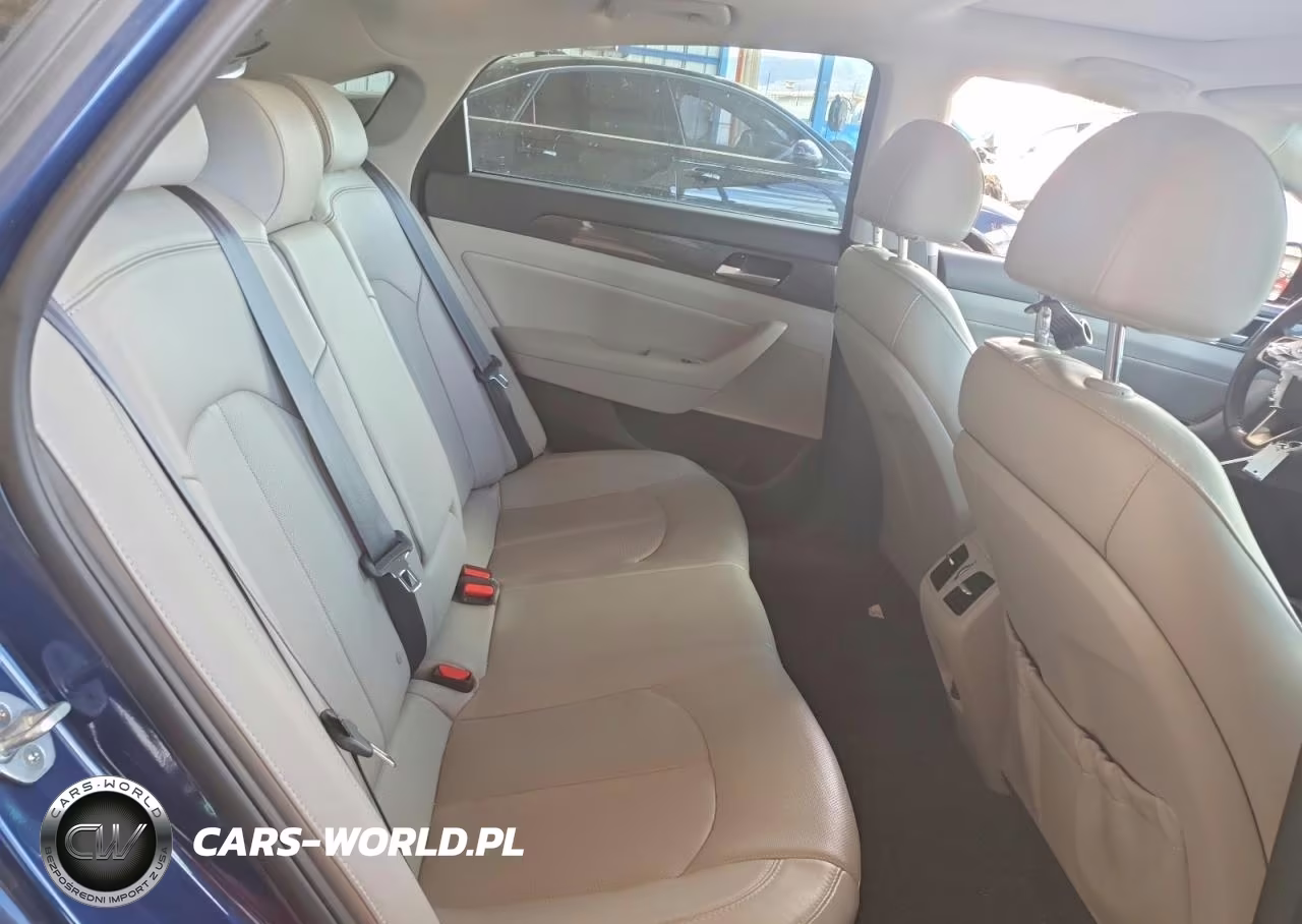 2019 Hyundai Sonata Limited VIN:5NPE34AF2KH820237 - 10
