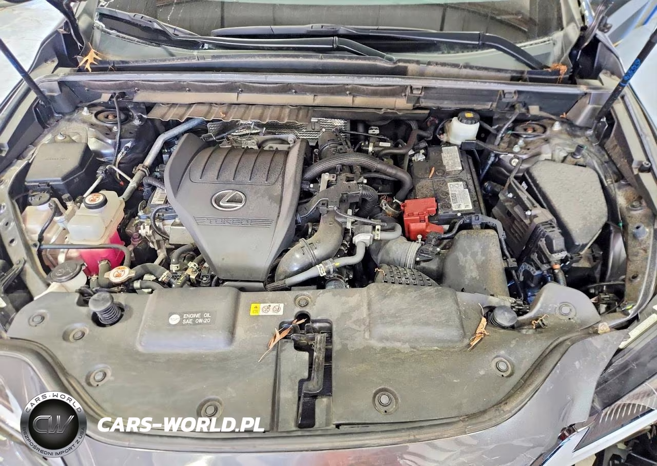 2023 Lexus Nx 350 VIN:2T2GGCEZ9PC028376 - 12