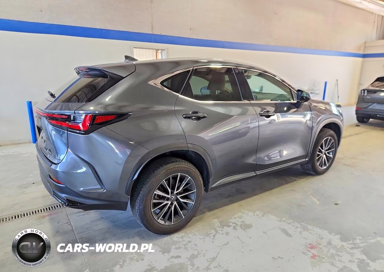 2023 Lexus Nx 350 VIN:2T2GGCEZ9PC028376 - 3