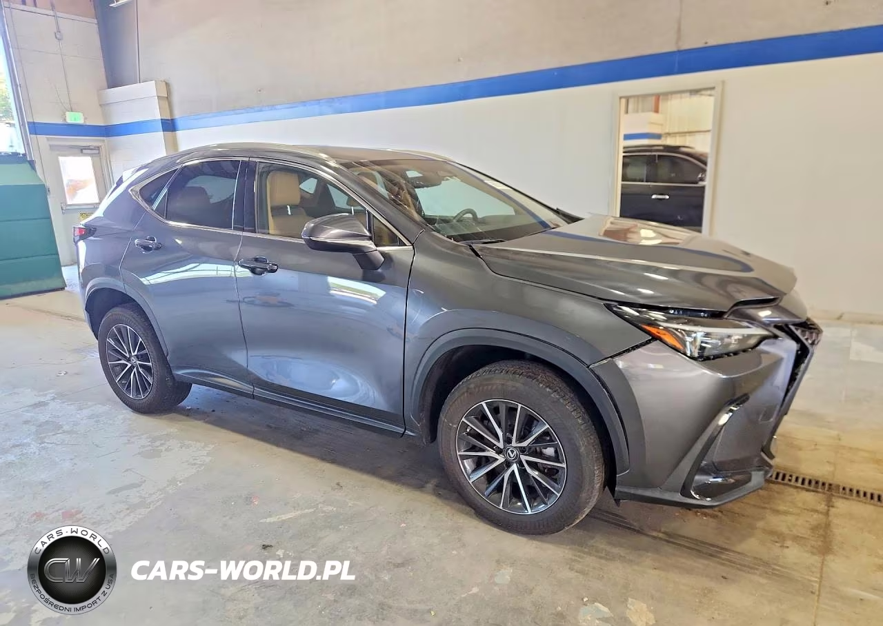 2023 Lexus Nx 350 VIN:2T2GGCEZ9PC028376 - 4