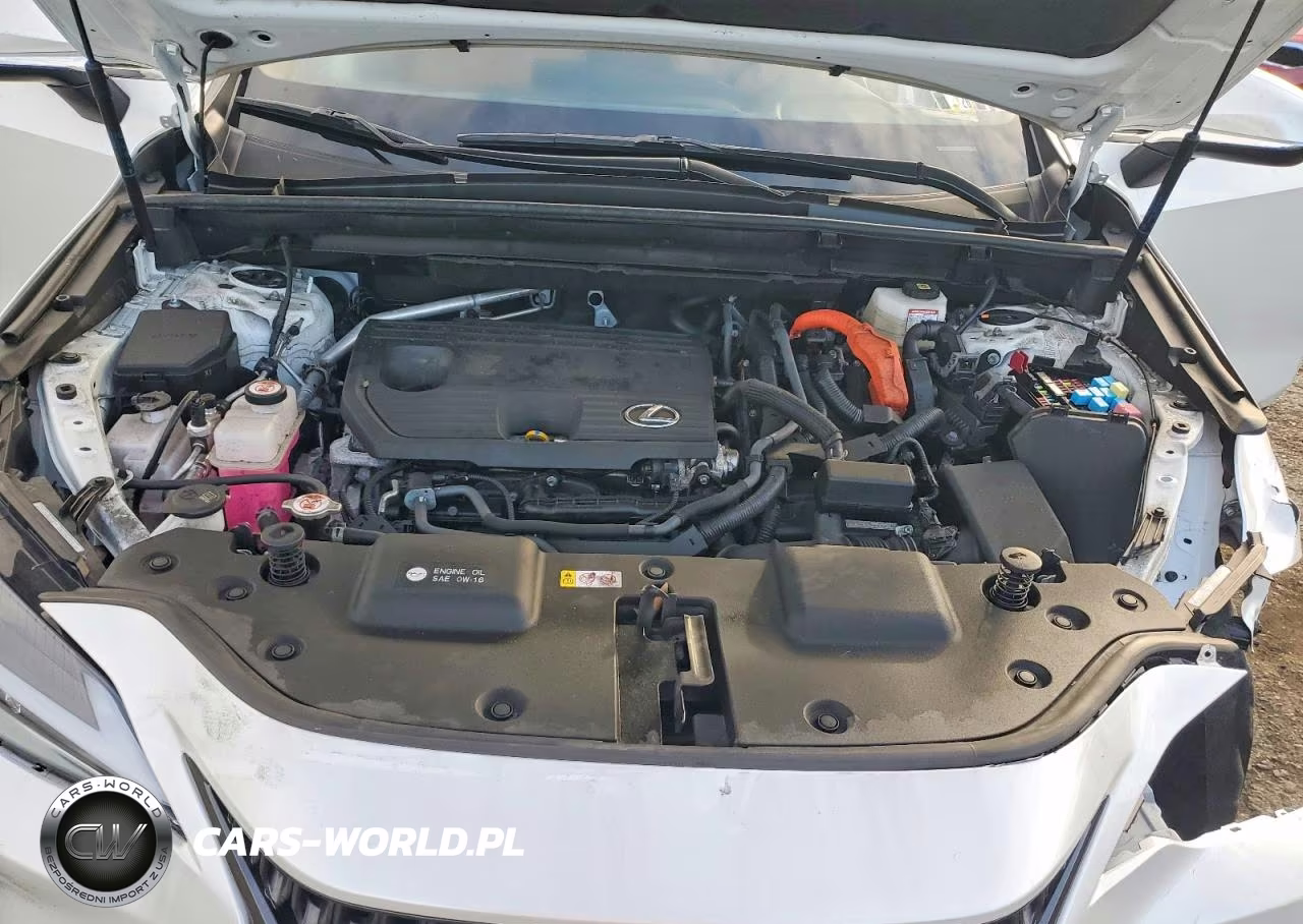 2025 Lexus Nx 350H Premium VIN:JTJGKCEZ5S2050091 - 12