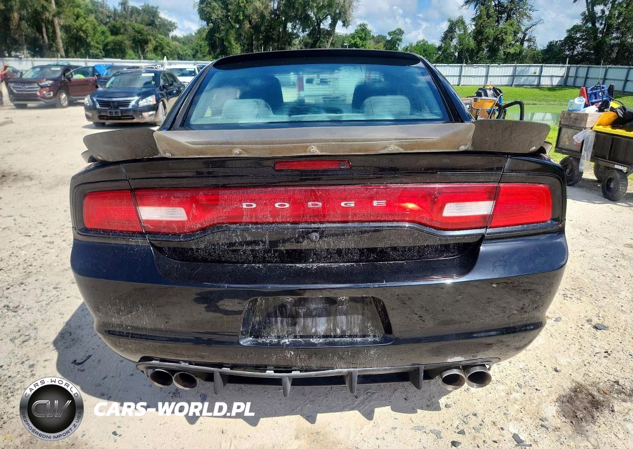 2012 Dodge Charger Police VIN:2C3CDXAT0CH255786 - 6