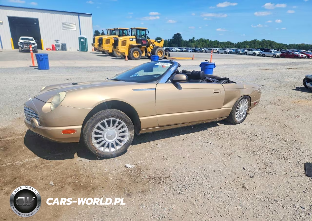 2005 Ford Thunderbird VIN:1FAHP60A15Y106787 - 1