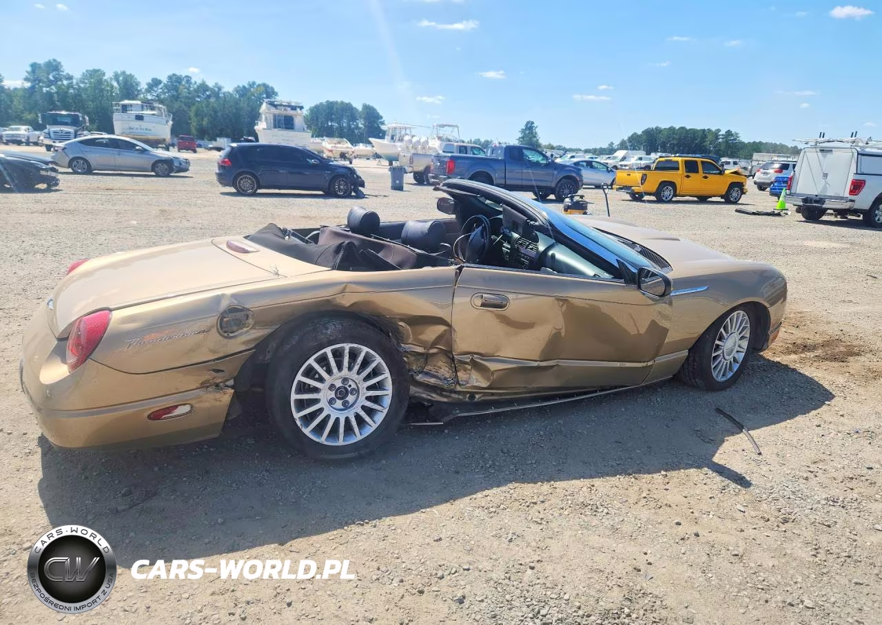 2005 Ford Thunderbird VIN:1FAHP60A15Y106787 - 3