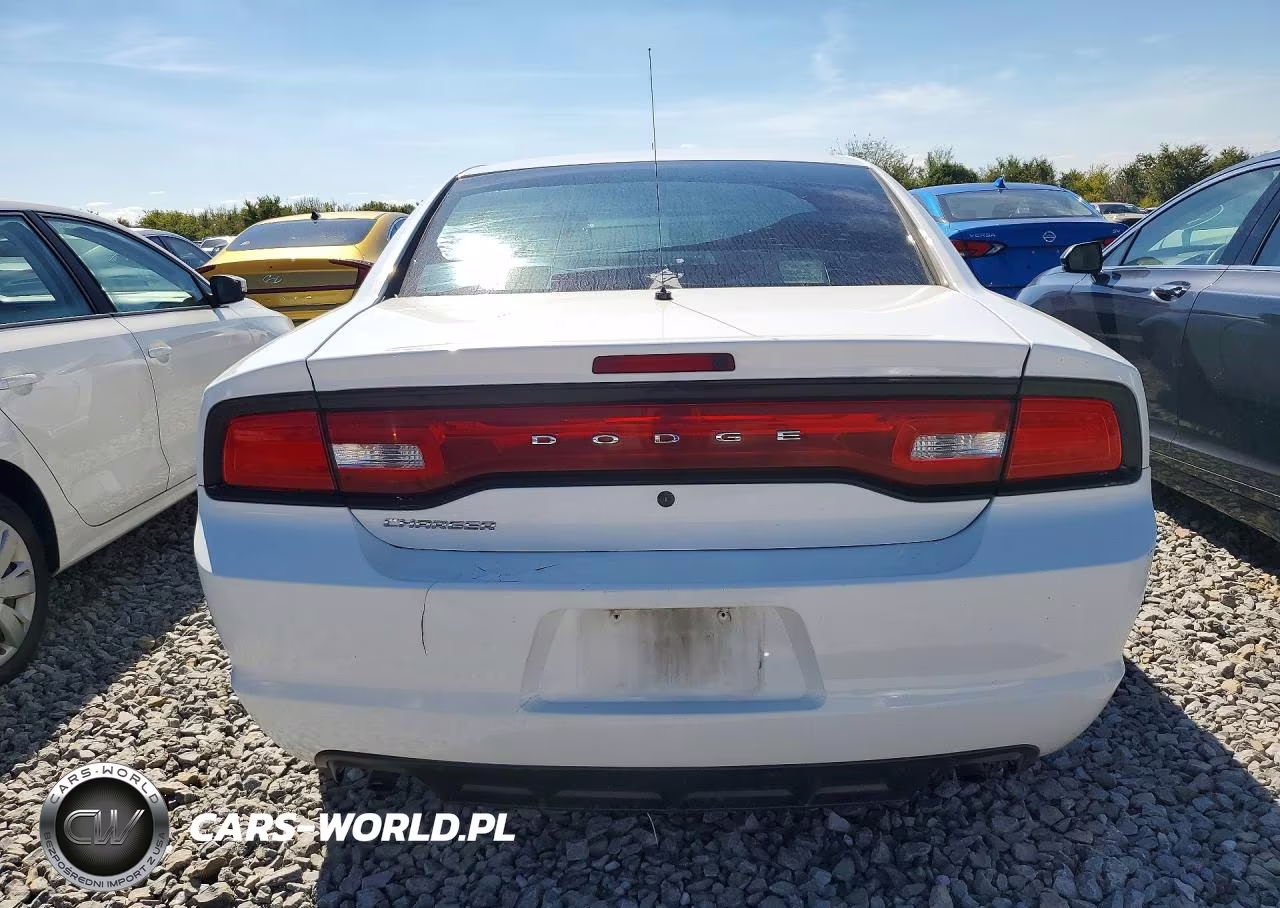 2014 Dodge Charger Police VIN:2C3CDXAG5EH230453 - 6