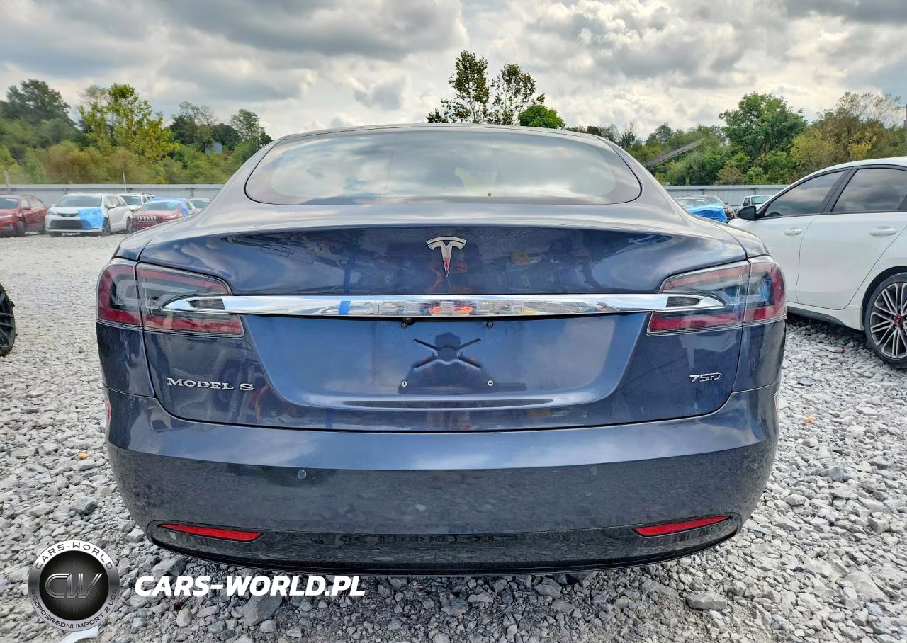 2018 Tesla Model S VIN:5YJSA1E21JF289186 - 6