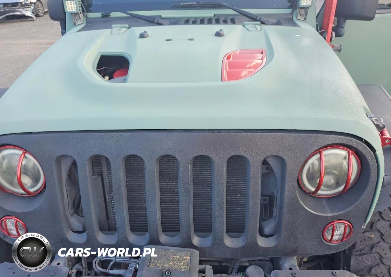 2014 Jeep Wrangler Unlimited Rubicon VIN:1C4BJWFG4EL167383 - 11