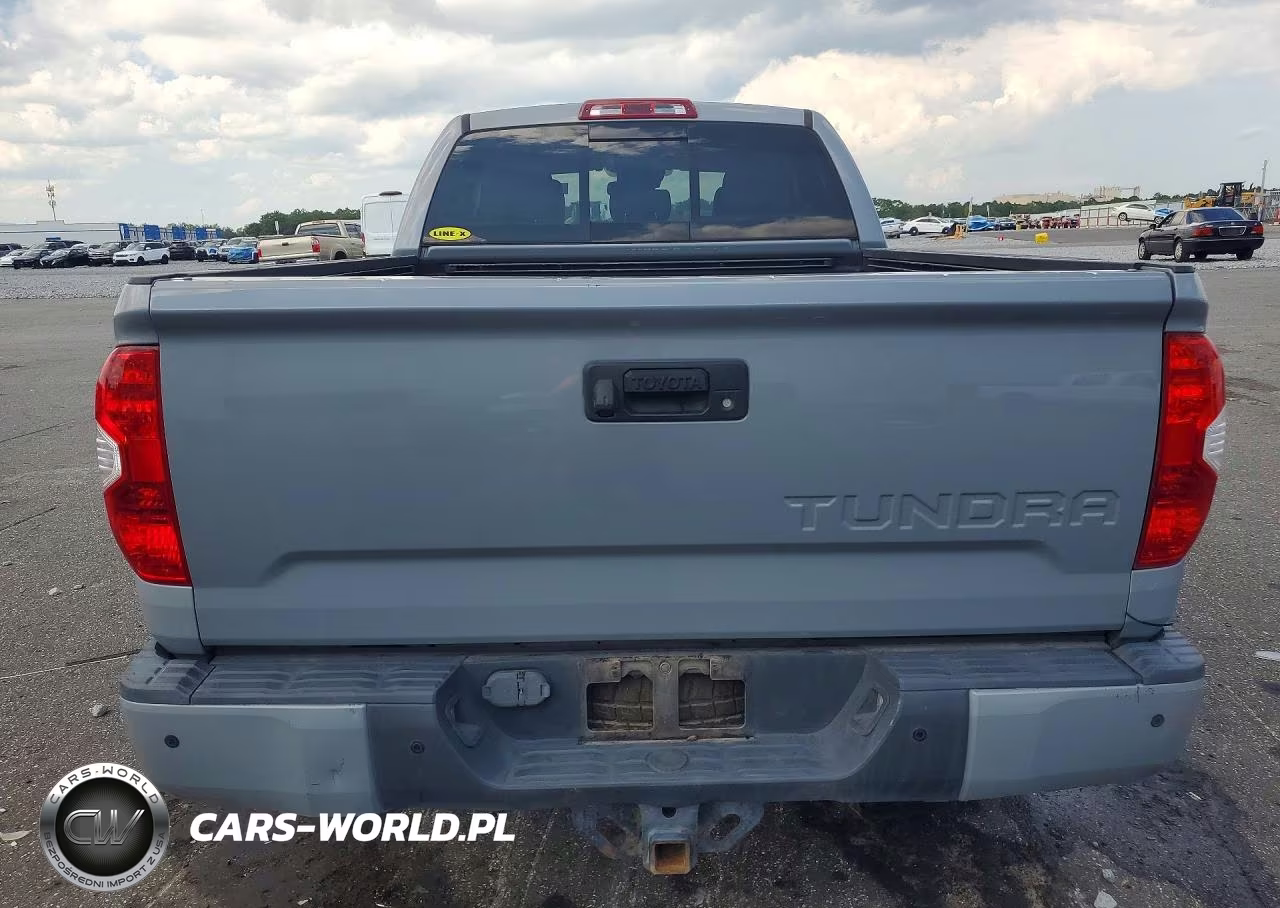 2019 Toyota Tundra Double Cab Limited VIN:5TFBY5F1XKX860173 - 6