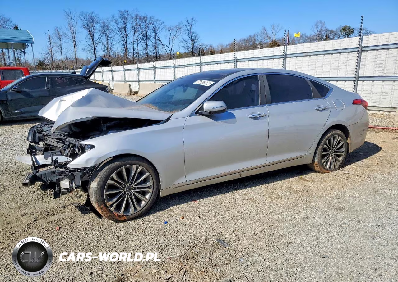 2016 Hyundai Genesis 3.8L VIN:KMHGN4JE4GU139595 - 1