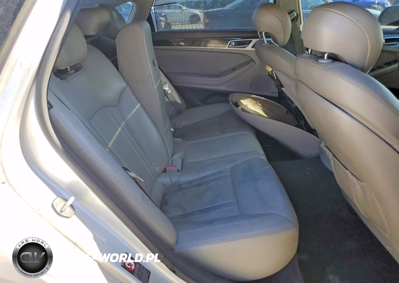 2016 Hyundai Genesis 3.8L VIN:KMHGN4JE4GU139595 - 10