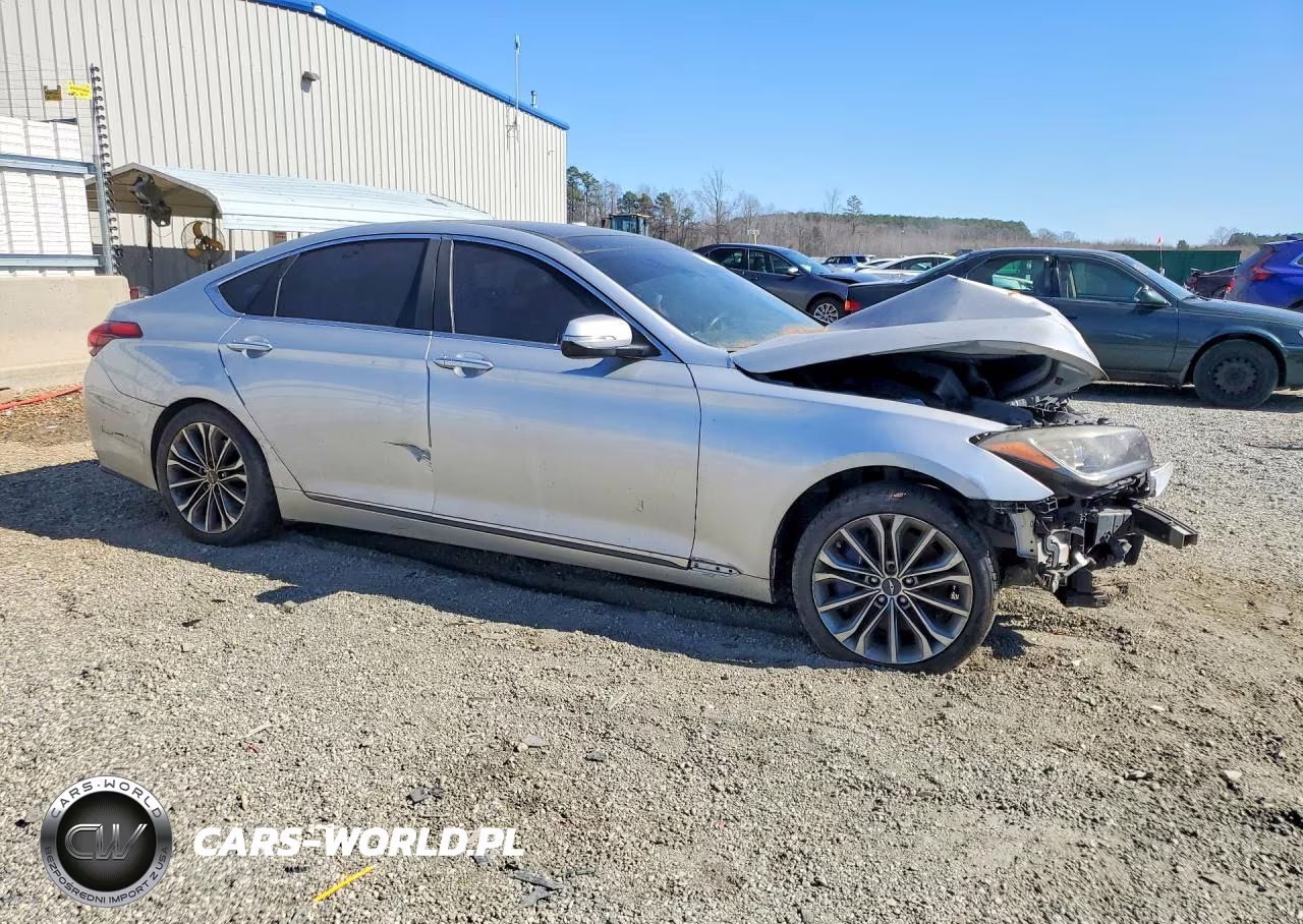 2016 Hyundai Genesis 3.8L VIN:KMHGN4JE4GU139595 - 4